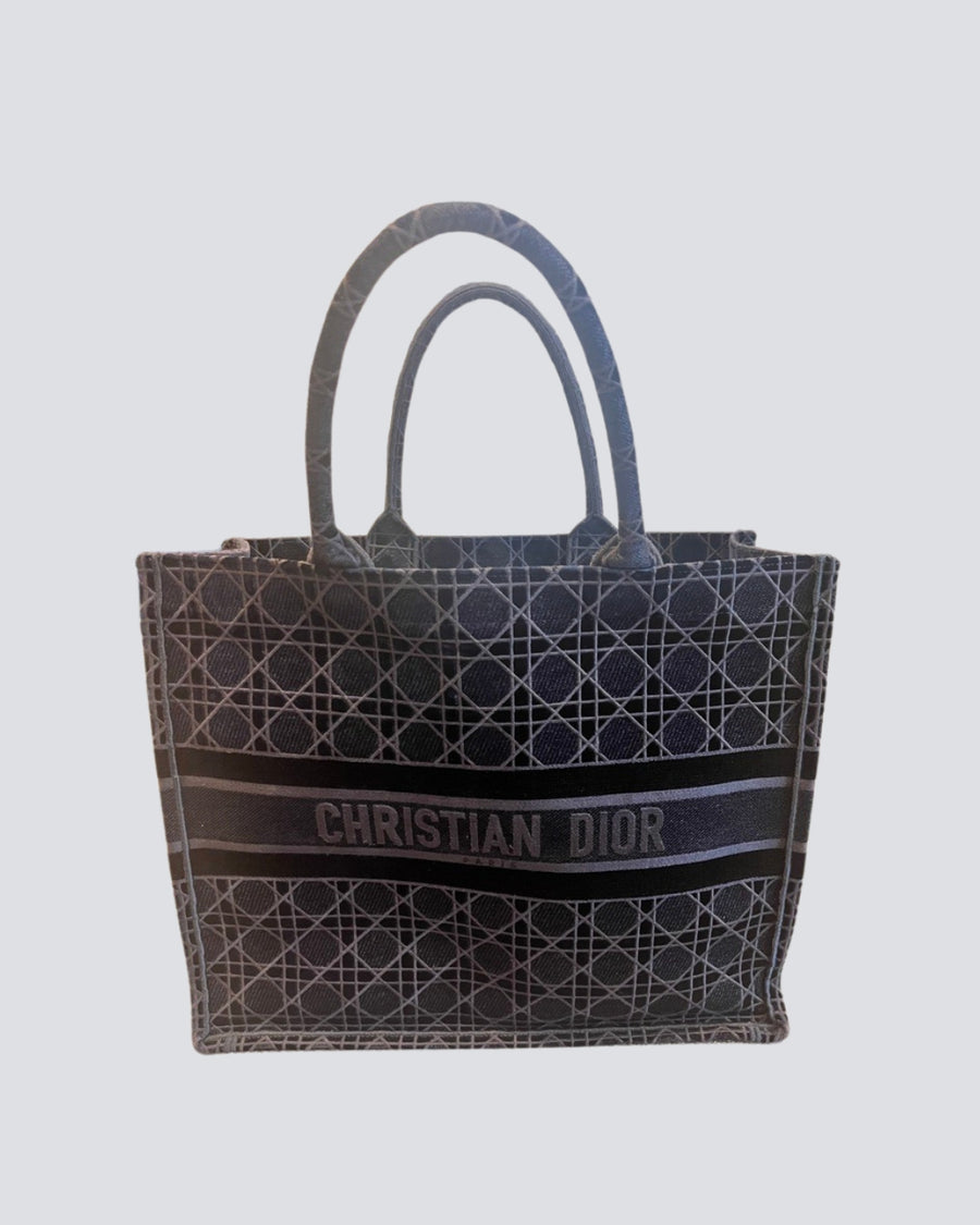 Christian Dior Blue Large Velvet Book Tote Bag
