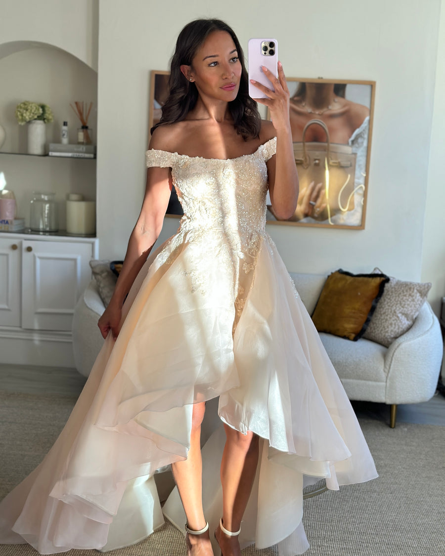 Mikael D Blush Ball Gown with Embroidered Detail Size S (UK 8)