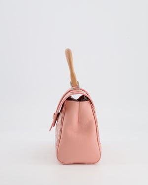 *RARE* Goyard Powder Pink Goyardine Mini Saigon Souple Bag with Silver Hardware