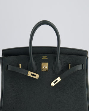 Hermès Birkin 25 Retourne Bag in Vert Mangrove Togo Leather with Permabrass Hardware