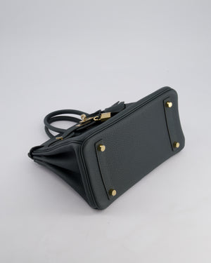Hermès Birkin 25 Retourne Bag in Vert Mangrove Togo Leather with Permabrass Hardware