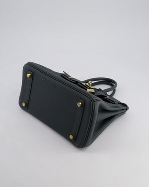 Hermès Birkin 25 Retourne Bag in Vert Mangrove Togo Leather with Permabrass Hardware