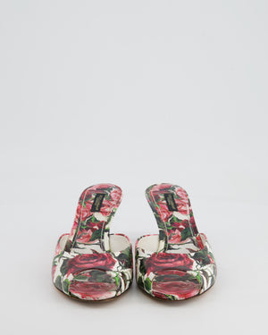 Dolce & Gabbana White and Pink Floral Open Toe Mules Size 38