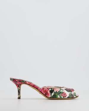 Dolce & Gabbana White and Pink Floral Open Toe Mules Size 38