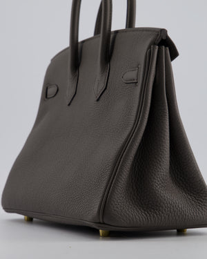 Hermès Birkin 25 Retourne Bag in Gris Etain Togo Leather with Gold Hardware