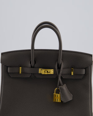 Hermès Birkin 25 Retourne Bag in Gris Etain Togo Leather with Gold Hardware