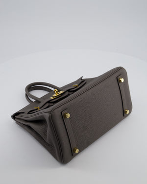 Hermès Birkin 25 Retourne Bag in Gris Etain Togo Leather with Gold Hardware