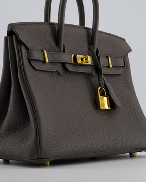Hermès Birkin 25 Retourne Bag in Gris Etain Togo Leather with Gold Hardware