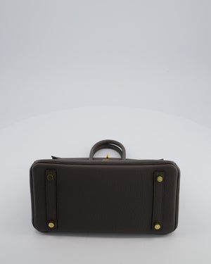 Hermès Birkin 25 Retourne Bag in Gris Etain Togo Leather with Gold Hardware