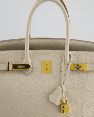 Hermès Birkin 35 Retourne Bag in Craie Togo Leather with Gold Hardware