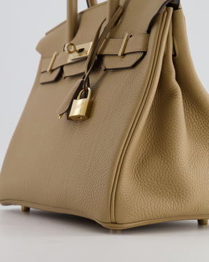 Hermès Birkin 30 Retourne Bag in Poussiere Togo Leather with Permabrass Hardware