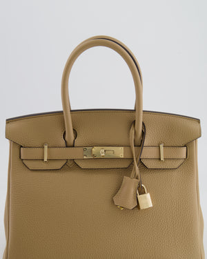 Hermès Birkin 30 Retourne Bag in Poussiere Togo Leather with Permabrass Hardware