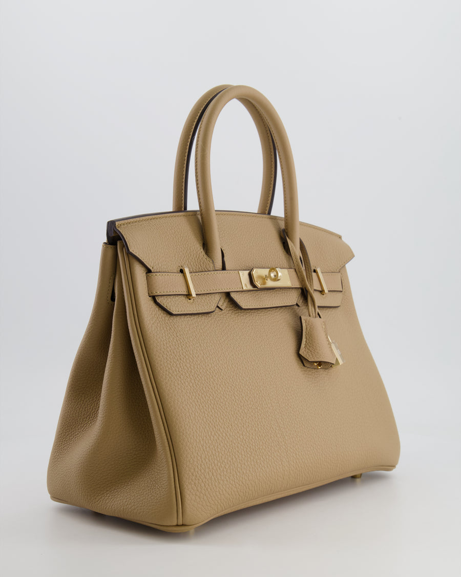 Hermès Birkin 30 Retourne Bag in Poussiere Togo Leather with Permabrass Hardware