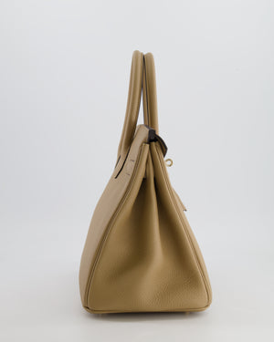 Hermès Birkin 30 Retourne Bag in Poussiere Togo Leather with Permabrass Hardware