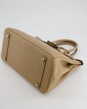 Hermès Birkin 30 Retourne Bag in Poussiere Togo Leather with Permabrass Hardware