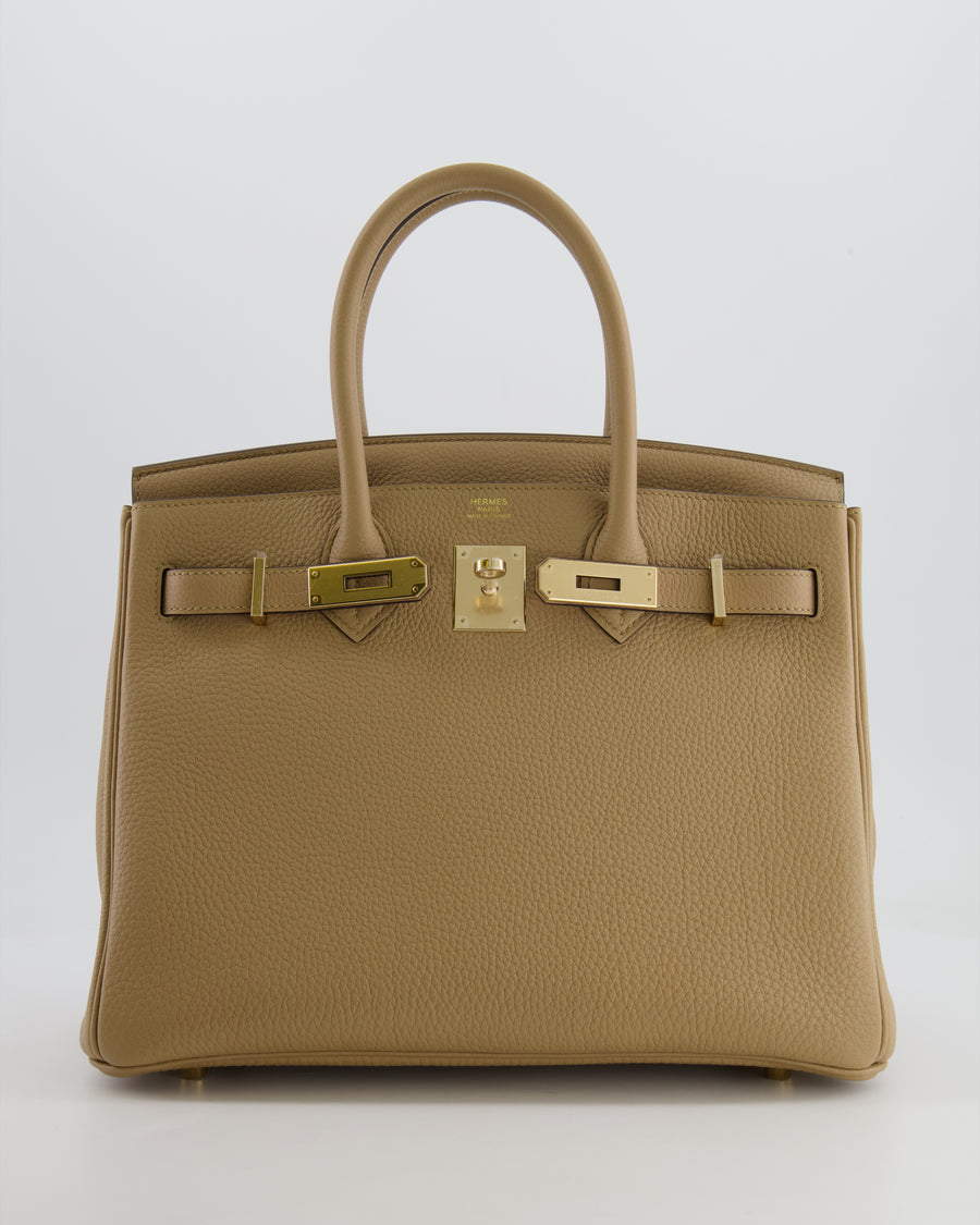 Hermès Birkin 30 Retourne Bag in Poussiere Togo Leather with Permabrass Hardware