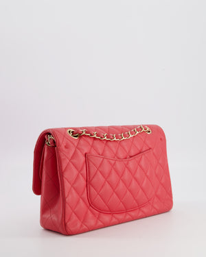 Chanel Pink Medium Classic Double Flap Bag in Caviar Leather with Champagne Gold Hardware