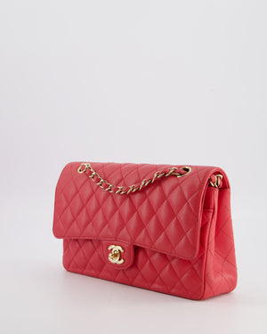 Chanel Pink Medium Classic Double Flap Bag in Caviar Leather with Champagne Gold Hardware