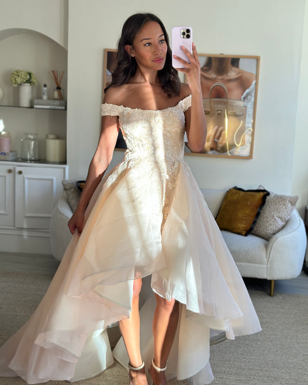 Mikael D Blush Ball Gown with Embroidered Detail Size S (UK 8)