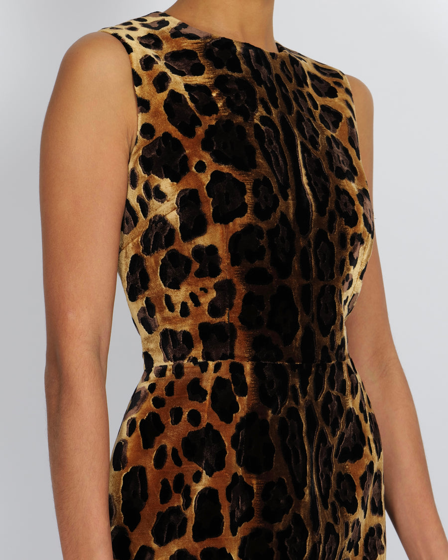 Dolce & Gabbana Brown Leopard Print Velours Sleeveless Mini Dress Size IT 44 (UK 12)