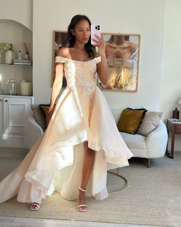 Mikael D Blush Ball Gown with Embroidered Detail Size S (UK 8)