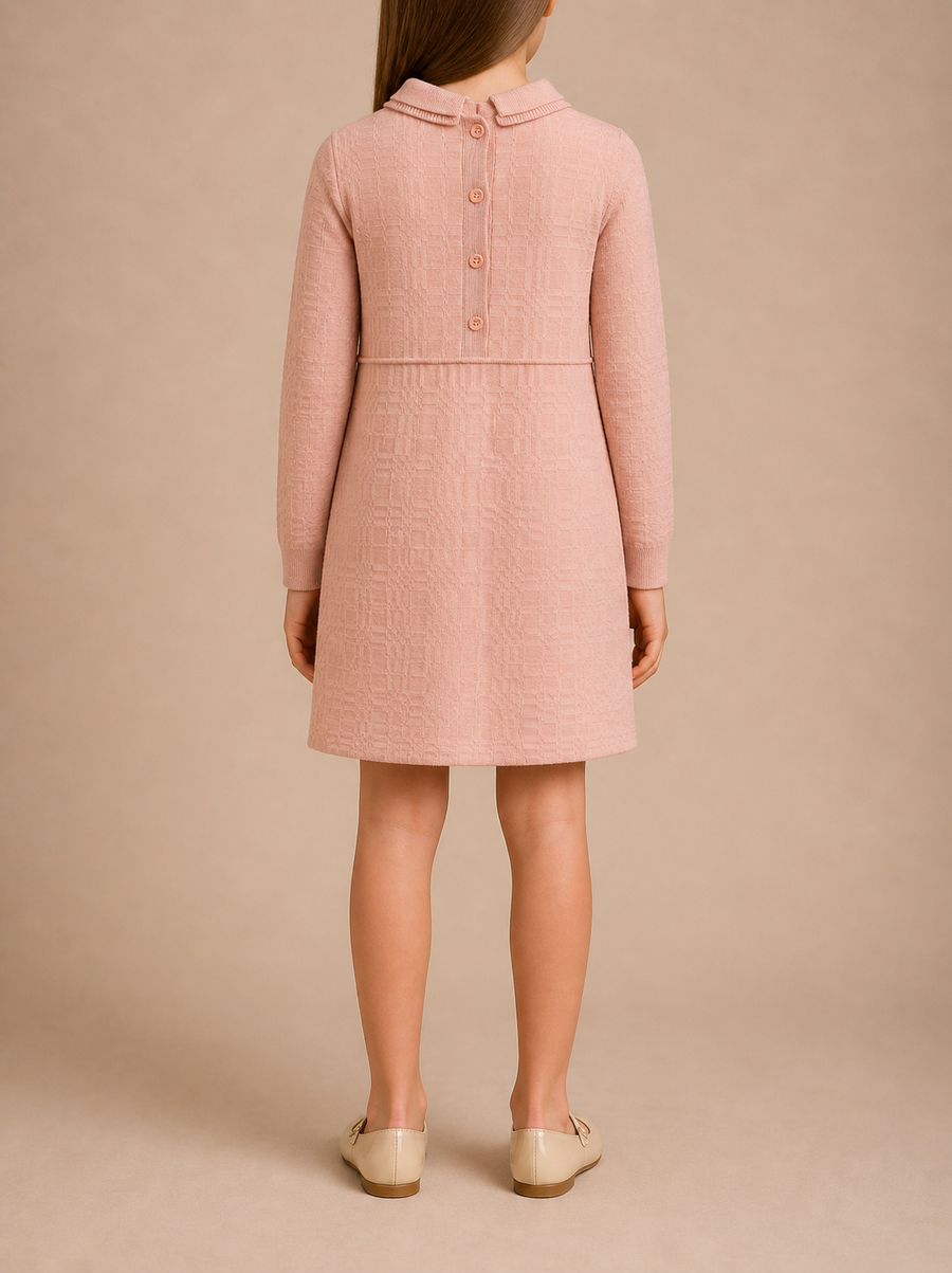 Burberry Kids Pink Checked Print Long-Sleeve Dress with Collar Detail Size 8 years