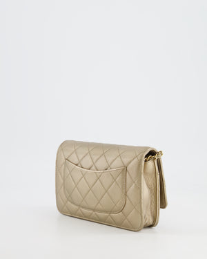 Chanel Metallic Gold Wallet on Chain Bag in Lambskin Leather with Gold Hardware