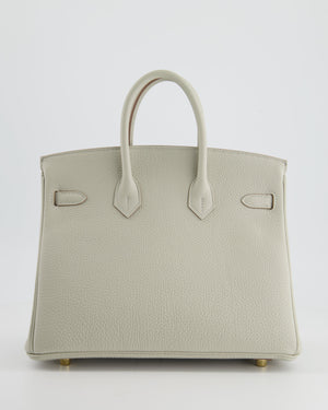 *RARE* Hermès Birkin Bag 25cm in Gris Perle Togo Leather with Gold Hardware