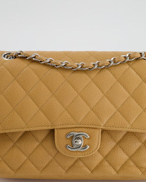 Chanel Chai Latte Medium Classic Double Flap Bag in Caviar with Silver Hardware
