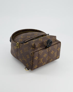 Louis Vuitton Palm Springs Monogram Mini Backpack – Sellier