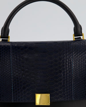 Celine Navy Python, Brown Suede Trapeze Hand Bag with Gold Hardware