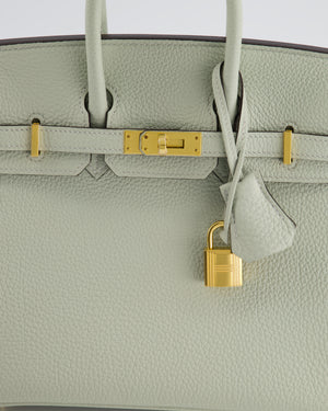 *RARE* Hermès Birkin Retourne 25cm Gris Neve in Togo Leather with Gold Hardware