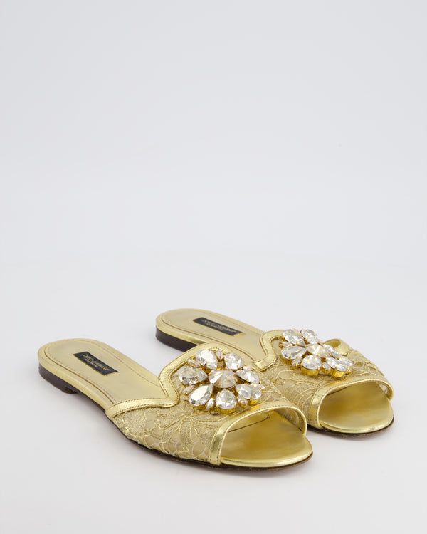 Dolce & Gabbana Gold Lurex Lace Rainbows Slides with Crystal Detailing Size EU 36.5 RRP £825