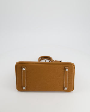 *HOLY GRAIL* Hermès Birkin Bag 25cm Gold in Togo Leather with Palladium Hardware