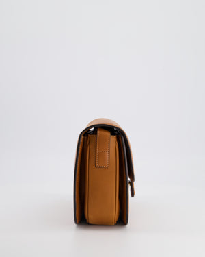 Celine Classique Triomphe Bag in Brown Calfskin with Brown Leather Hardware RRP £2950