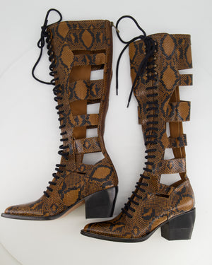 Chloé Brown Python Lace-Up High Knee Cowboy Boots Size EU 41
