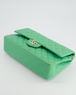 Chanel Mint Green Medium Classic Double Flap in Caviar Leather with Champagne Gold Hardware