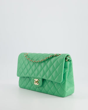 Chanel Mint Green Medium Classic Double Flap in Caviar Leather with Champagne Gold Hardware