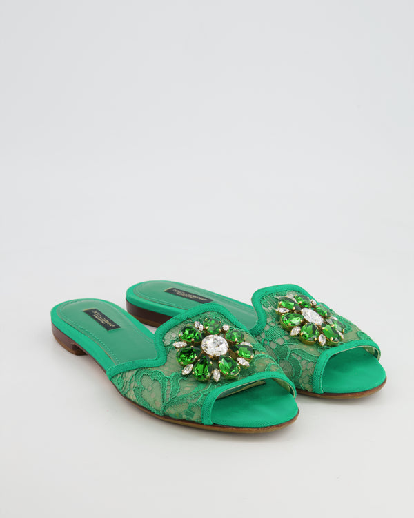 Dolce & Gabbana Green Lace Flat Mules with Crystal Embellishments Size EU 39