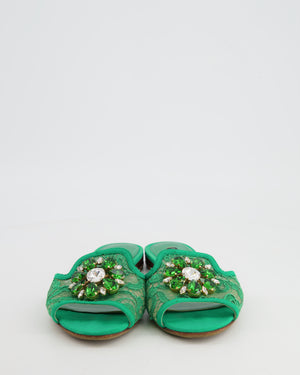 Dolce & Gabbana Green Lace Flat Mules with Crystal Embellishments Size EU 39