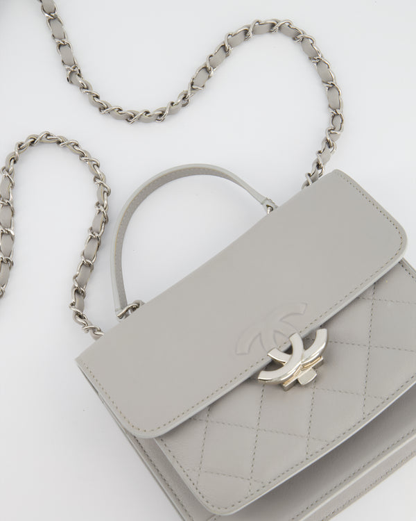Chanel Grey Coco Companion Flap Bag In Calfskin Leather with Silver Hardware