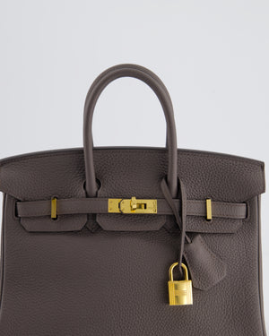 *HOT* Hermès Birkin 25cm Étain Retourne Bag in Togo Leather with Gold Hardware