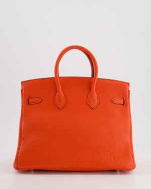 Hermès Birkin 25 Retourne Bag in Capucine Togo Leather and