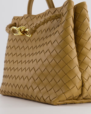 Bottega Veneta Medium Andiamo Bag in Praline Intrecciato Leather with Gold Hardware RRP £4,030