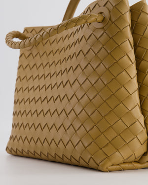 Bottega Veneta Medium Andiamo Bag in Praline Intrecciato Leather with Gold Hardware RRP £4,030