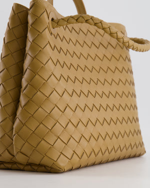 Bottega Veneta Medium Andiamo Bag in Praline Intrecciato Leather with Gold Hardware RRP £4,030