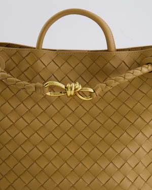 Bottega Veneta Medium Andiamo Bag in Praline Intrecciato Leather with Gold Hardware RRP £4,030