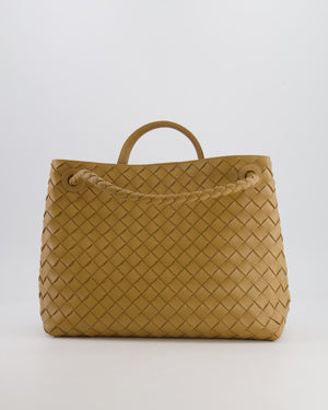 Bottega Veneta Medium Andiamo Bag in Praline Intrecciato Leather with Gold Hardware RRP £4,030