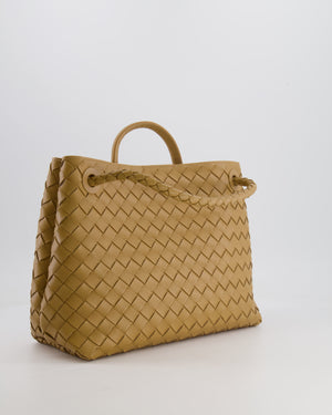Bottega Veneta Medium Andiamo Bag in Praline Intrecciato Leather with Gold Hardware RRP £4,030
