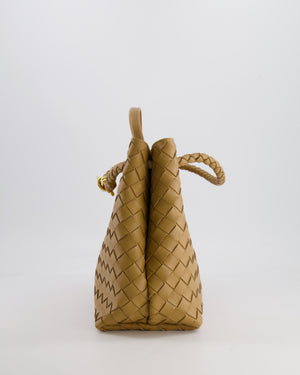 Bottega Veneta Medium Andiamo Bag in Praline Intrecciato Leather with Gold Hardware RRP £4,030